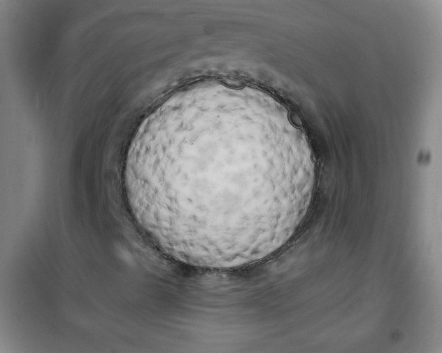 X0000100971489200807151338