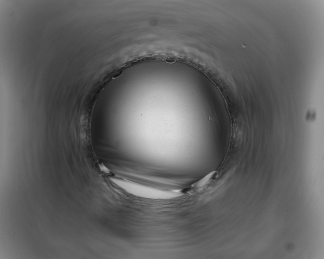 X0000100971490200807151338