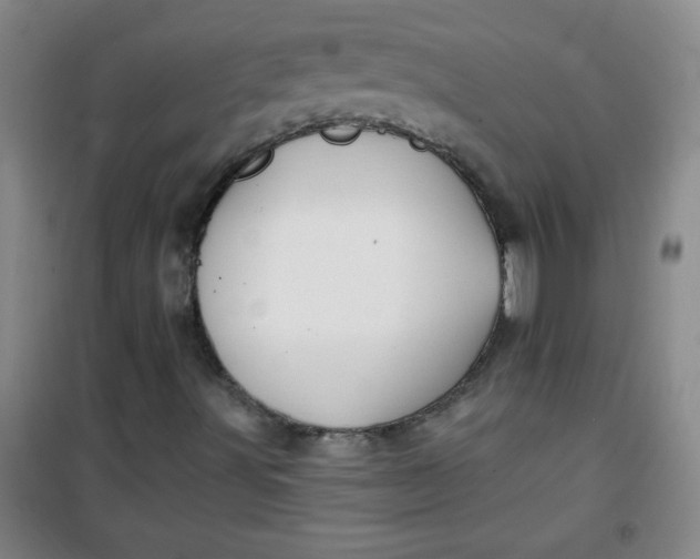 X0000100971491200807151338