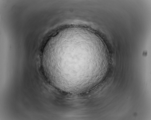 X0000100971493200807151338