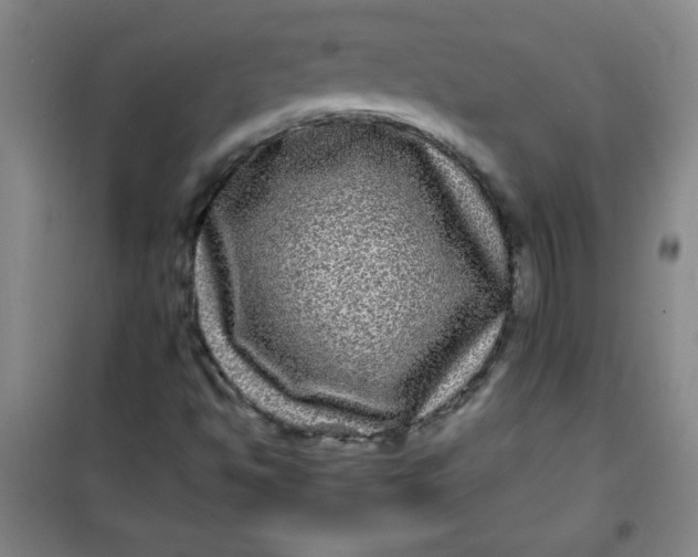 X0000100971494200807151338