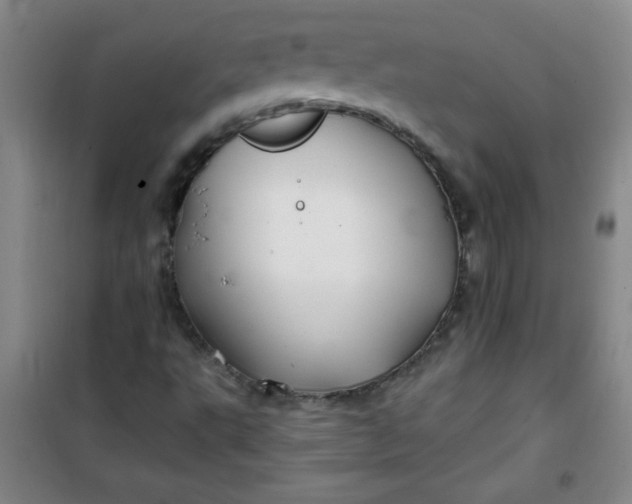 X0000100971495200807151338