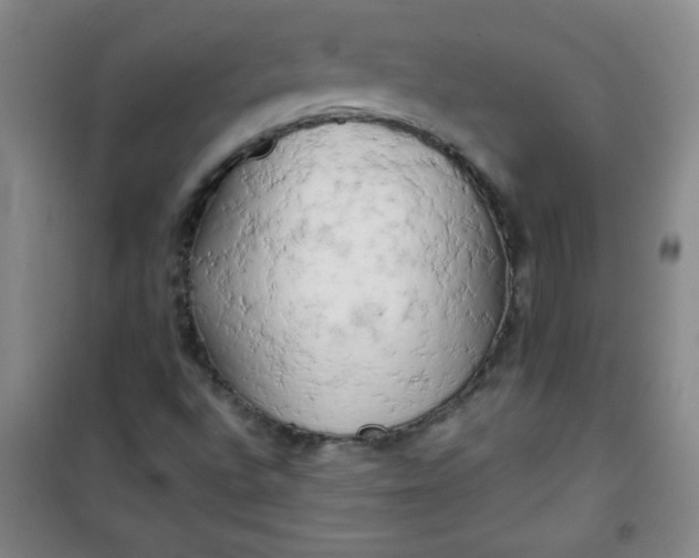 X0000100971496200807151338