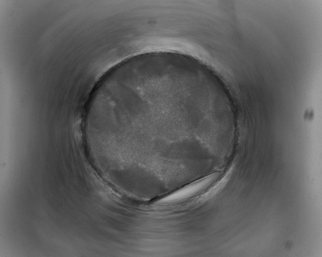 X0000100971497200807151338