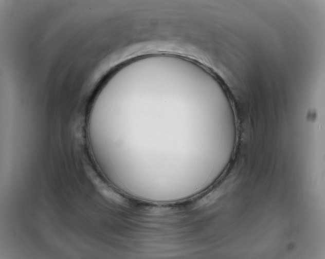X0000100971499200807151338
