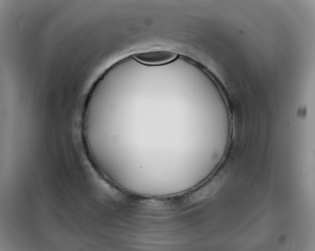 X0000100971500200807151338