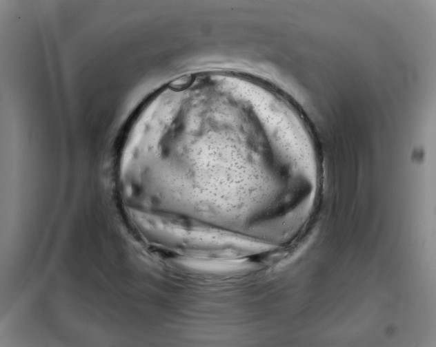 X0000100971501200807151338