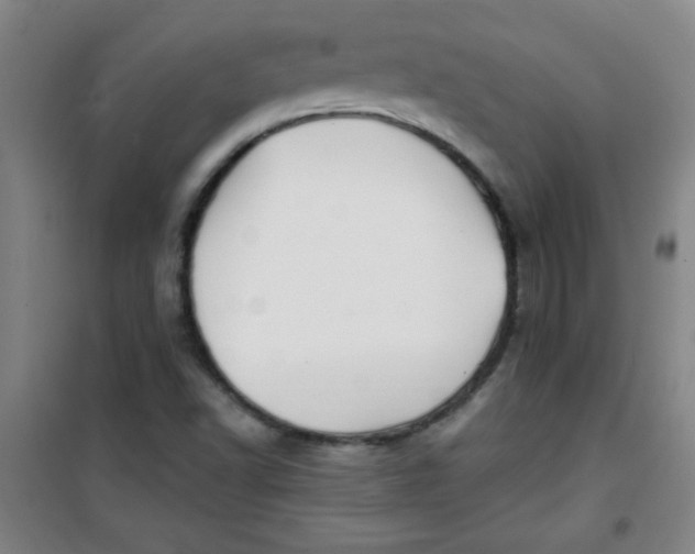 X0000100971502200807151338
