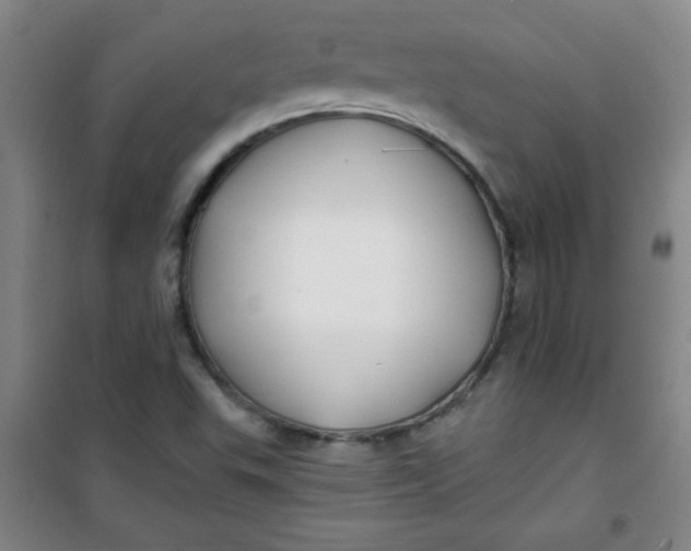 X0000100971503200807151338