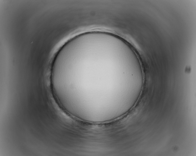 X0000100971504200807151338