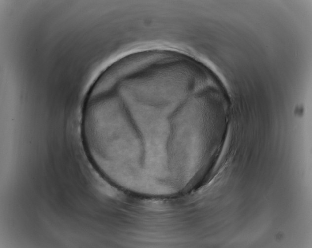 X0000100971508200807151338