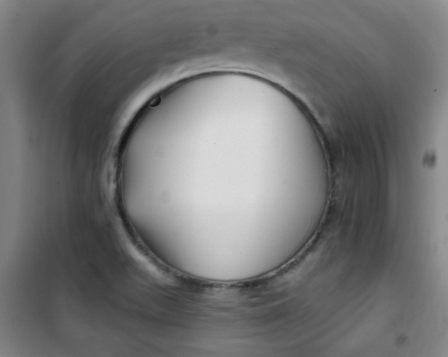 X0000100971511200807151338