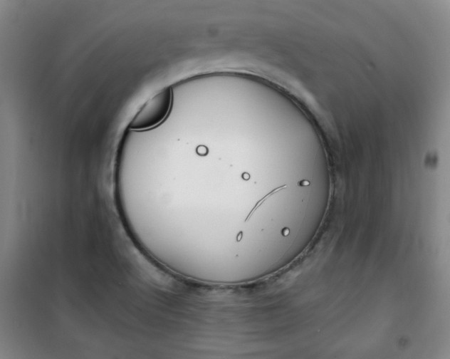 X0000100971512200807151338