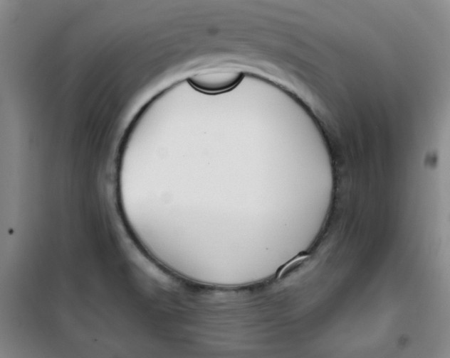 X0000100971518200807151339