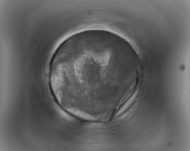 X0000100971519200807151339