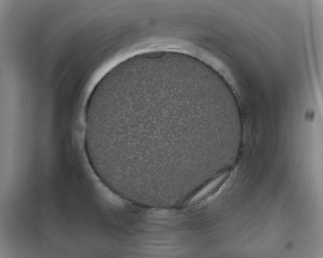 X0000100971520200807151339