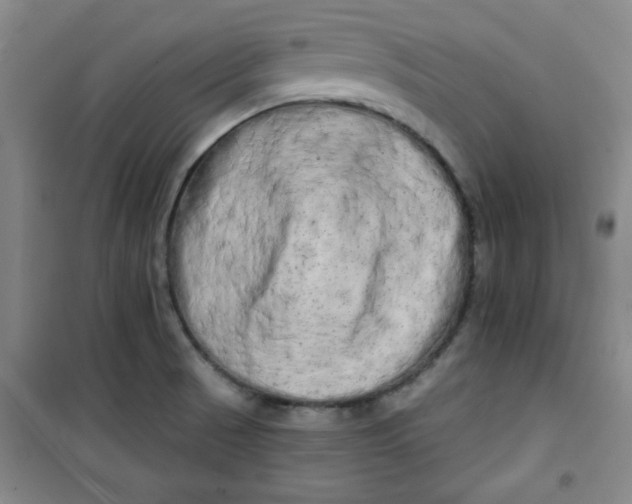 X0000100971521200807151339