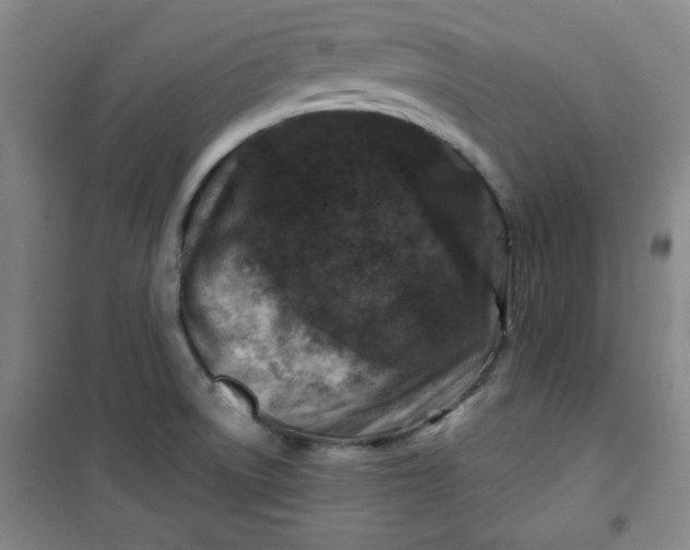 X0000100971522200807151339