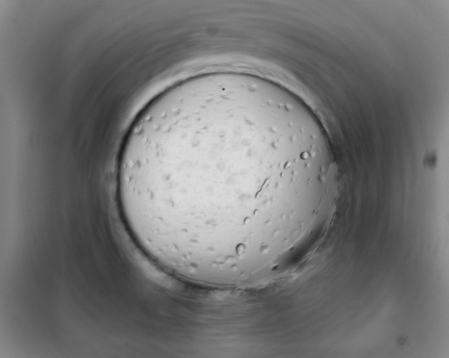 X0000100971523200807151339