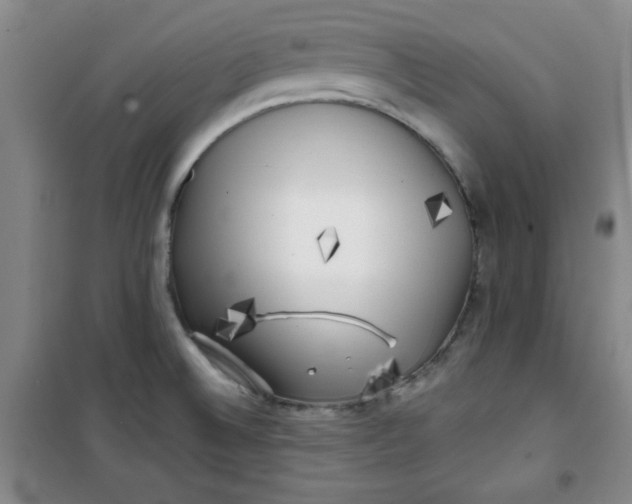 X0000100971524200807151339