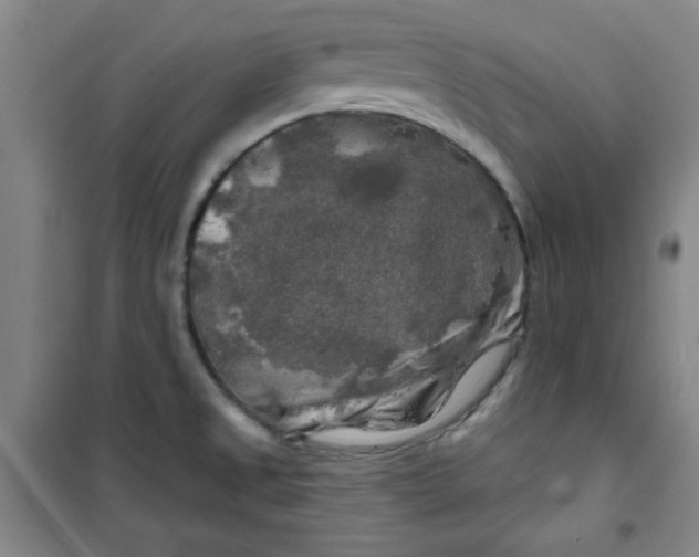 X0000100971525200807151339