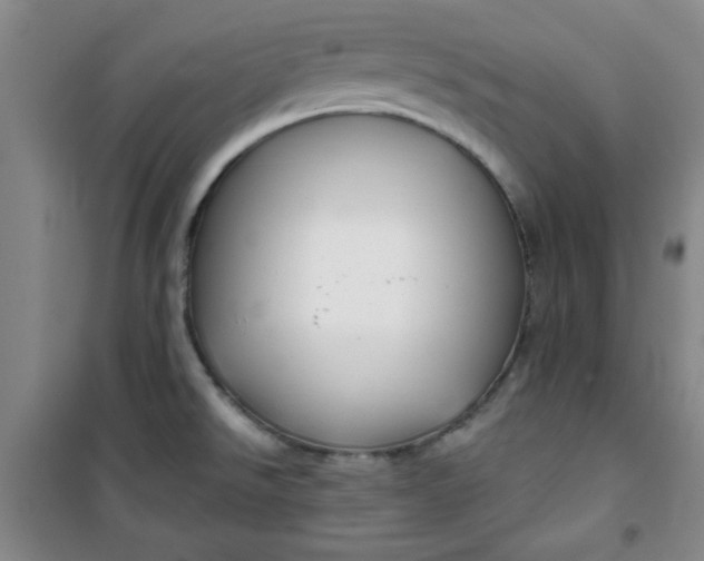 X0000100971526200807151339
