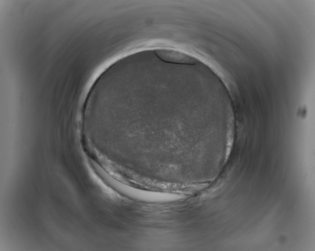 X0000100971527200807151339