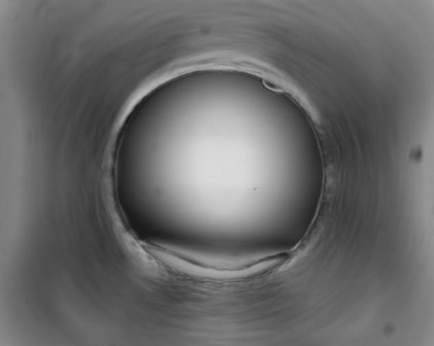 X0000100971530200807151339