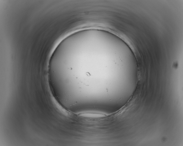 X0000100971532200807151339
