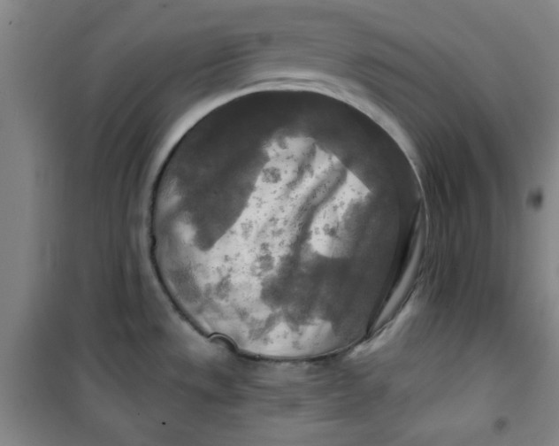 X0000100971533200807151339