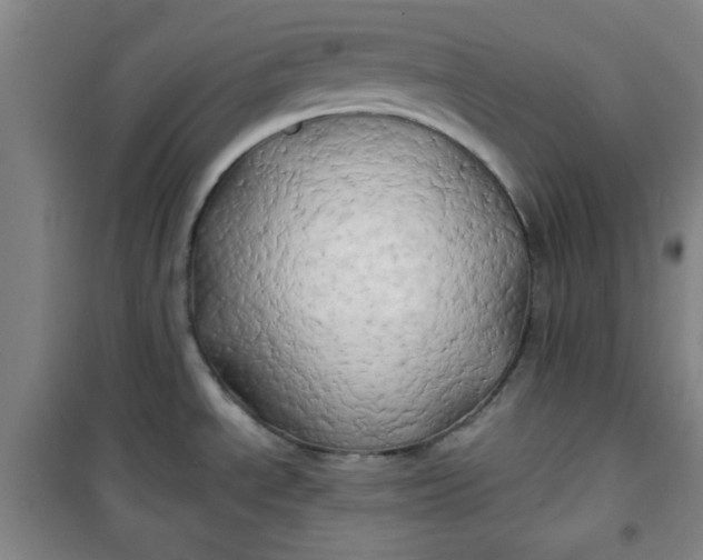 X0000100971534200807151339