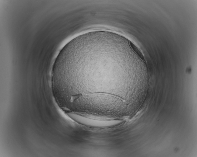 X0000100971535200807151339
