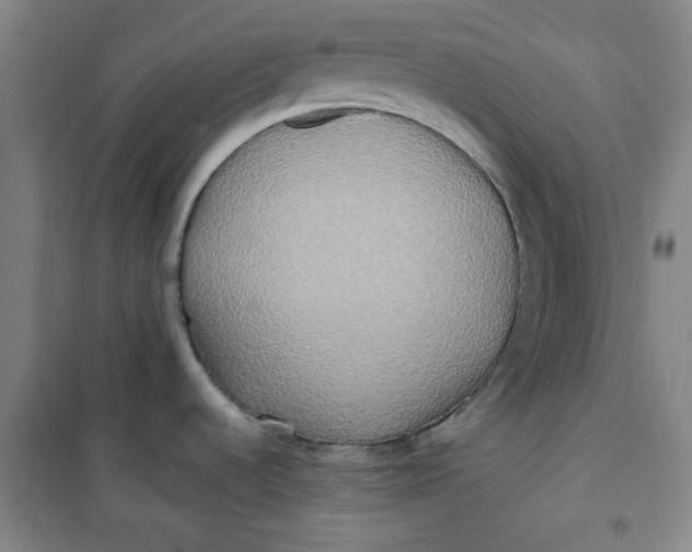 X0000100971536200807151339