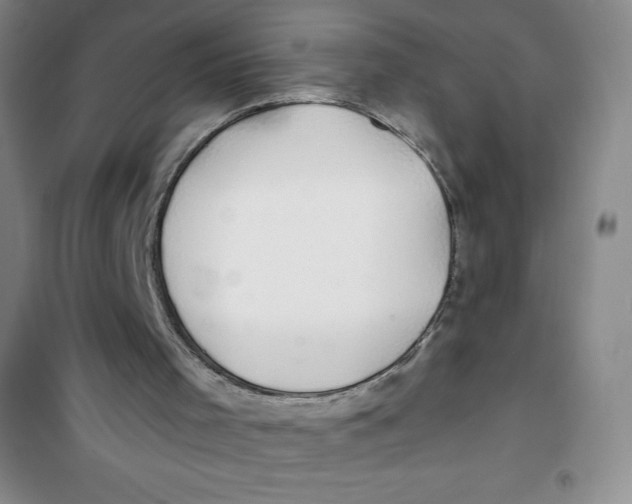 X0000100970001200807221221