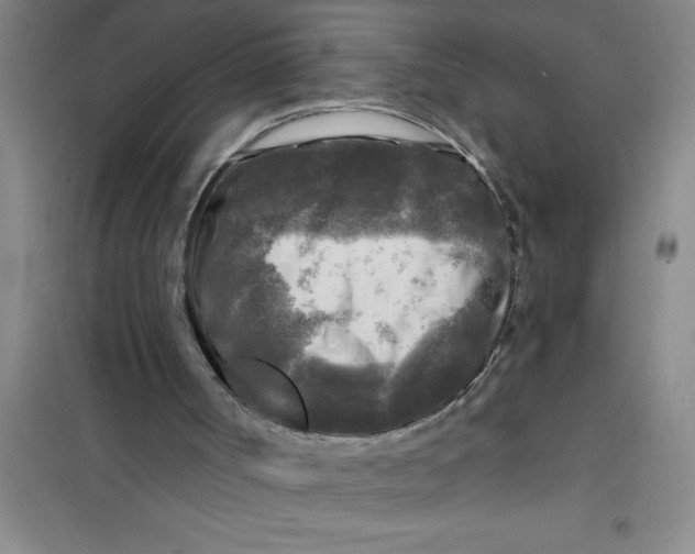 X0000100970002200807221221