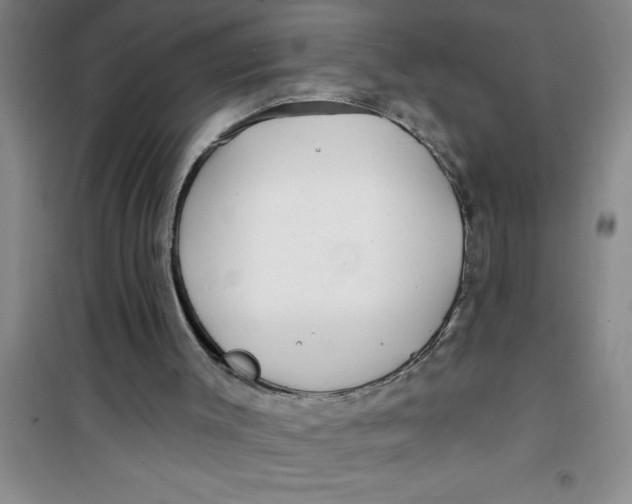 X0000100970003200807221221