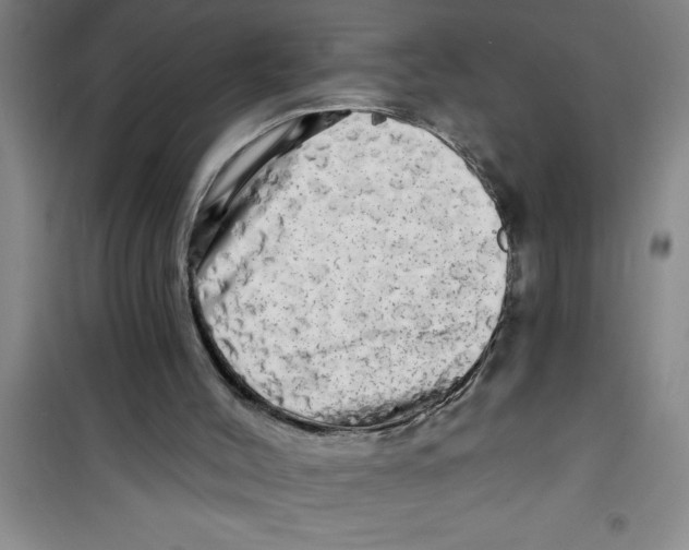 X0000100970004200807221221