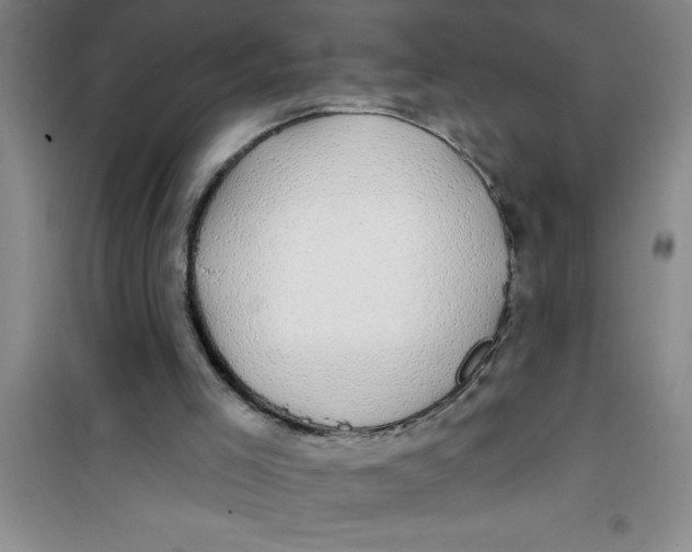 X0000100970005200807221221