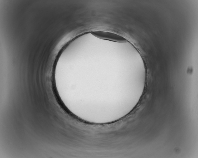 X0000100970007200807221221