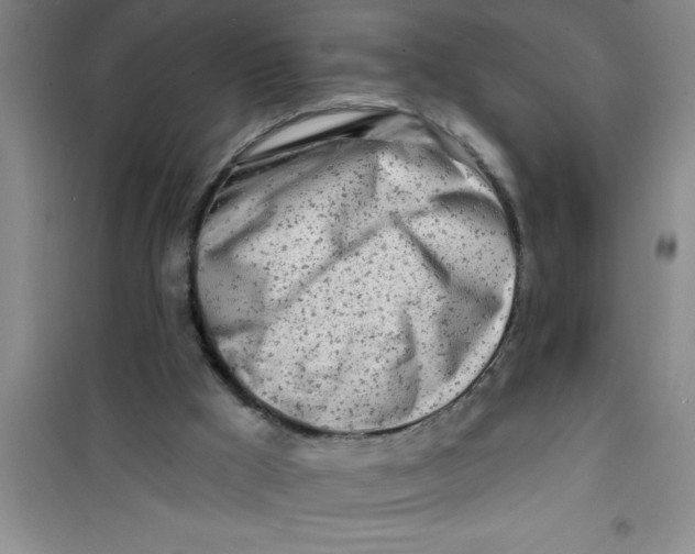 X0000100970009200807221221