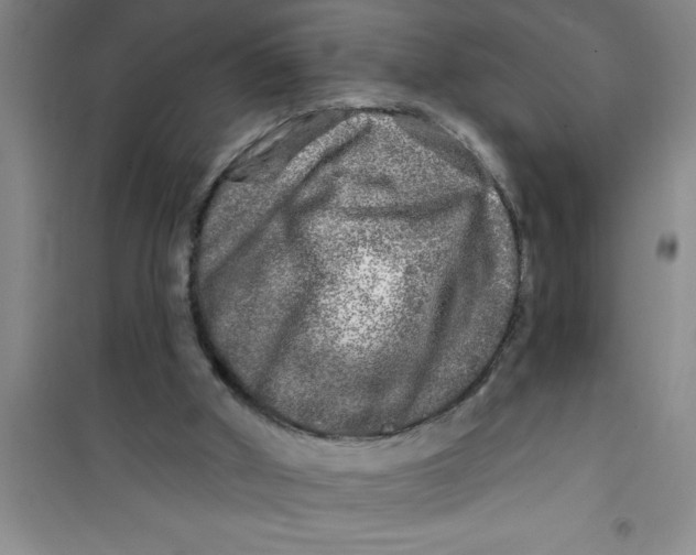 X0000100970010200807221221
