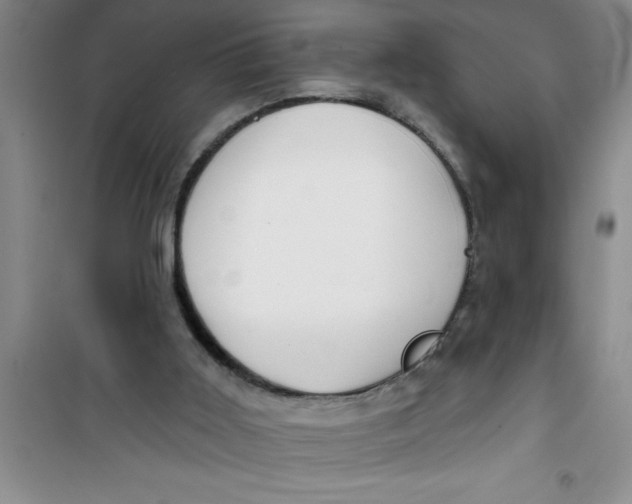 X0000100970011200807221221