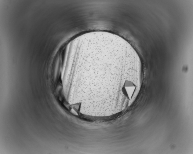 X0000100970012200807221221