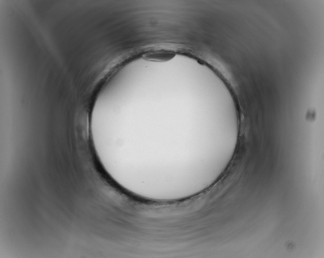 X0000100970013200807221221
