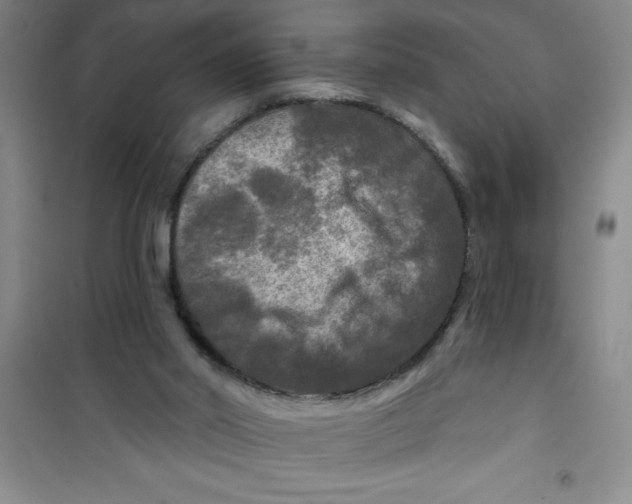 X0000100970014200807221221