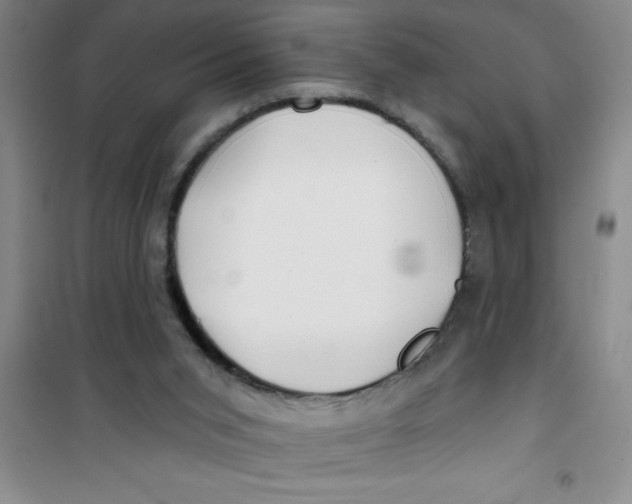 X0000100970015200807221221