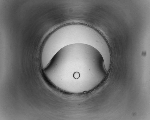 X0000100970016200807221221
