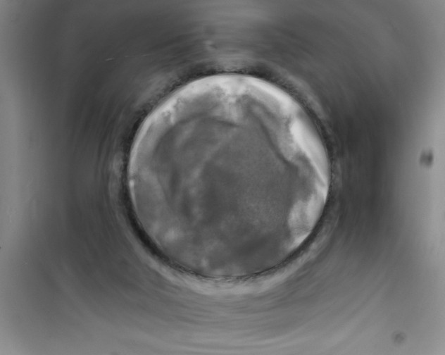 X0000100970018200807221221