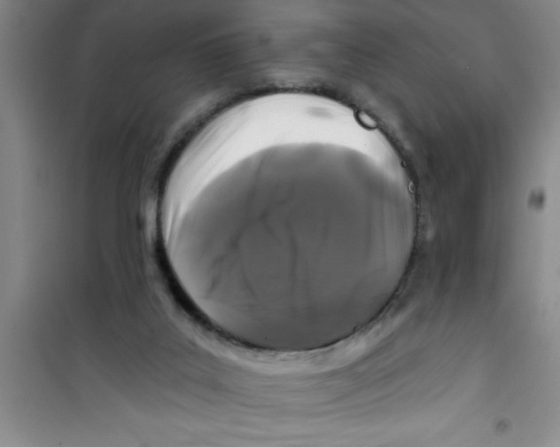 X0000100970019200807221221