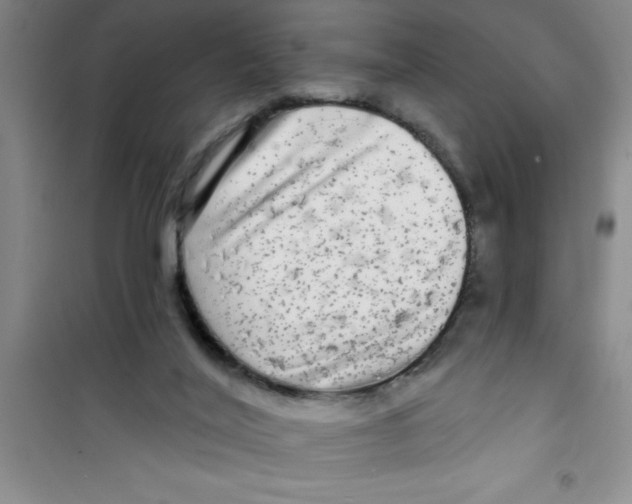 X0000100970020200807221221